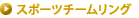 �X�|�[�c�`�[�������O
